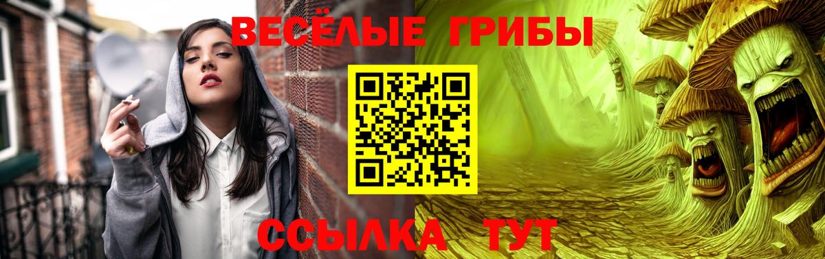 Псилоцибиновые грибы мицелий Коряжма